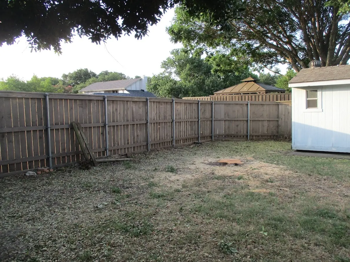 Cleared yard after professional tree removal in Soulsbyville